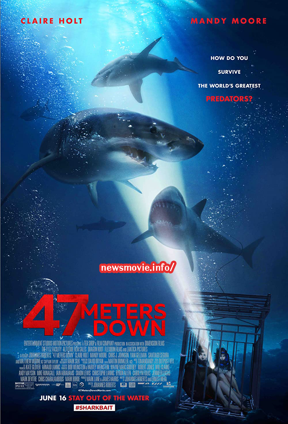 47 Meters Down Uncaged (2019) 47 ดิ่งลึกสุดนรก รีวิวหนัง
