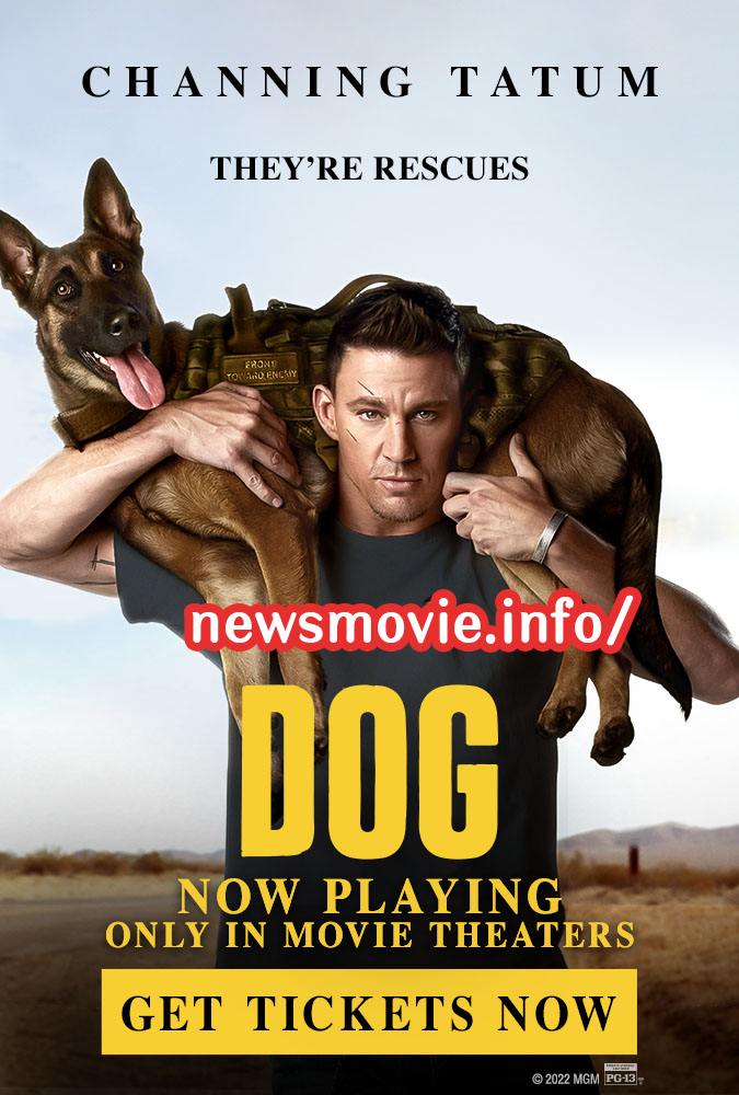 Dog-รีวิวหนังใหม่